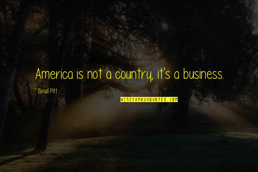 Never Rush Love Quotes By Brad Pitt: America is not a country, it's a business.