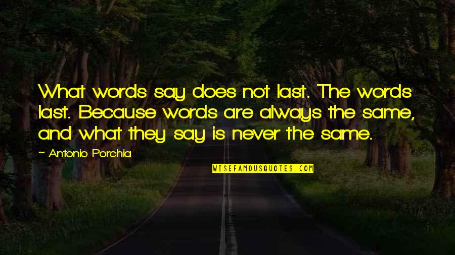 Never Say Always Quotes By Antonio Porchia: What words say does not last. The words