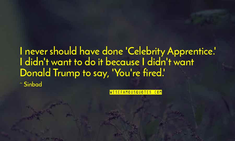 Never Say Never Because Quotes By Sinbad: I never should have done 'Celebrity Apprentice.' I Never Say Never Because Quotes By Sinbad: I never should have done 'Celebrity Apprentice.' I