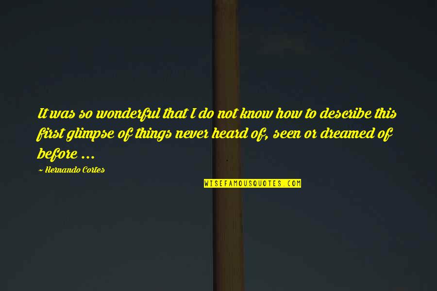 Never Seen Before Quotes By Hernando Cortes: It was so wonderful that I do not Never Seen Before Quotes By Hernando Cortes: It was so wonderful that I do not