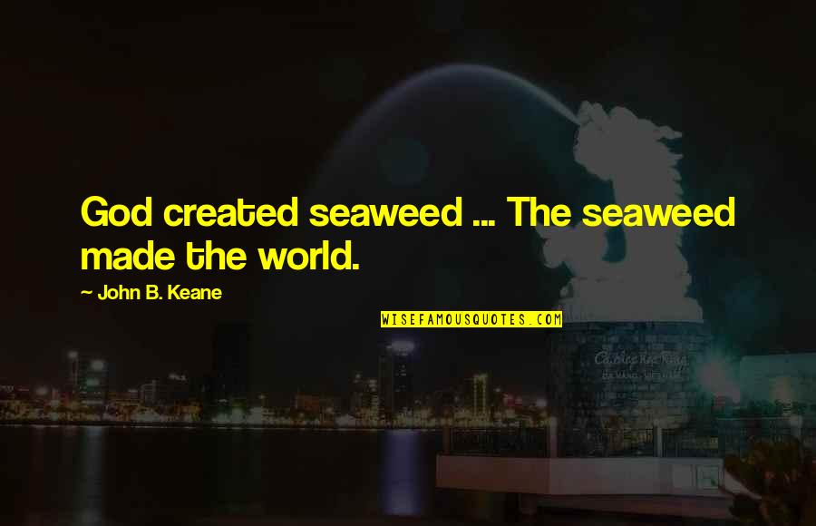 Never Stop Caring Quotes By John B. Keane: God created seaweed ... The seaweed made the