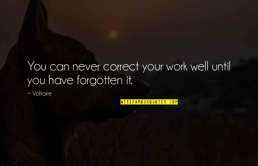 Never Stop Fighting For Someone You Love Quotes By Voltaire: You can never correct your work well until