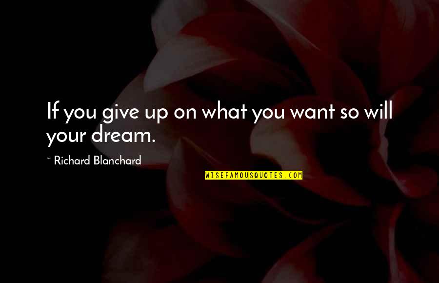 Never Stop Never Give Up Quotes By Richard Blanchard: If you give up on what you want