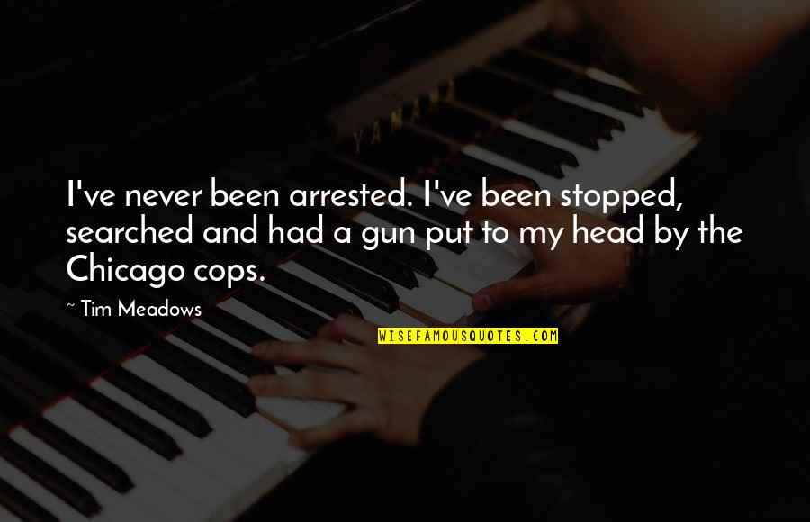 Never Stopped Quotes By Tim Meadows: I've never been arrested. I've been stopped, searched Never Stopped Quotes By Tim Meadows: I've never been arrested. I've been stopped, searched