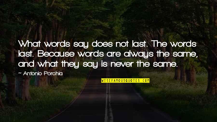 Never The Same Quotes By Antonio Porchia: What words say does not last. The words