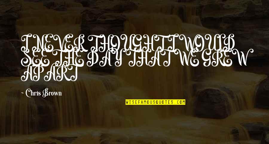 Never Thought I Would Love You Quotes By Chris Brown: I NEVER THOUGHT I WOULD SEE THE DAY