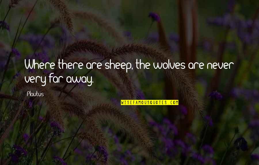 Never Too Far Away Quotes By Plautus: Where there are sheep, the wolves are never