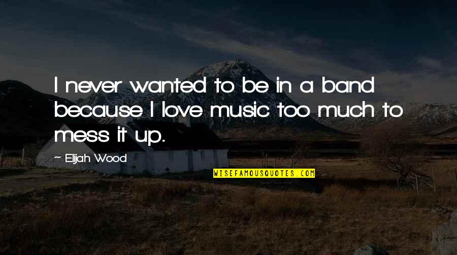 Never Too Much Love Quotes By Elijah Wood: I never wanted to be in a band