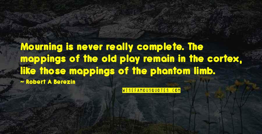 Never Too Old To Play Quotes By Robert A Berezin: Mourning is never really complete. The mappings of