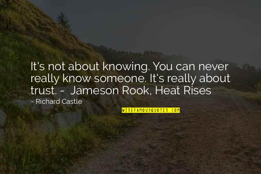 Never Trust You Quotes By Richard Castle: It's not about knowing. You can never really