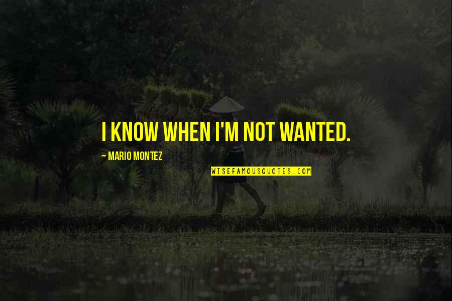 Never Trusting Someone Quotes By Mario Montez: I know when I'm not wanted.