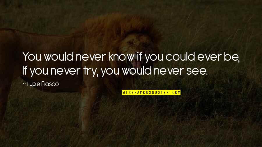 Never Try Never Know Quotes By Lupe Fiasco: You would never know if you could ever