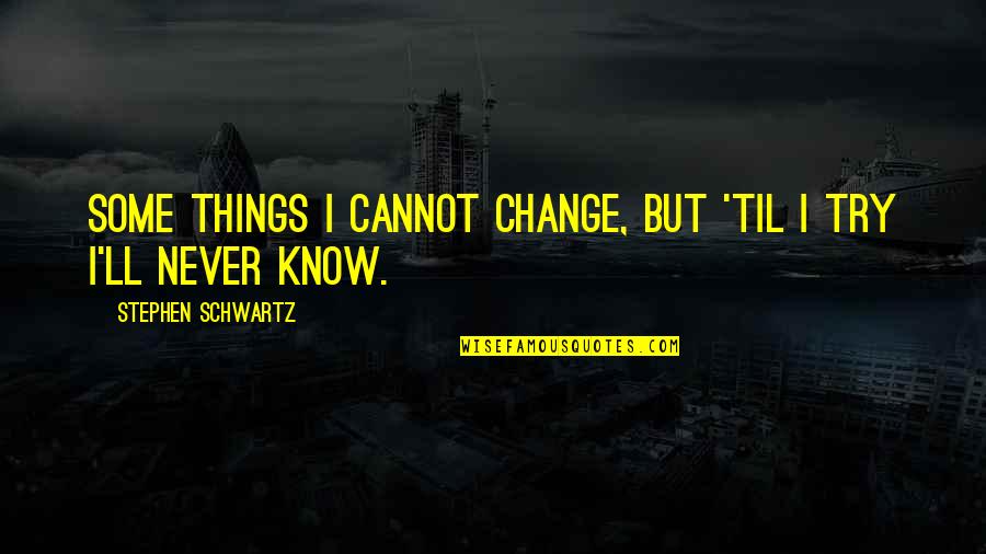 Never Try Never Know Quotes By Stephen Schwartz: Some things I cannot change, but 'til I
