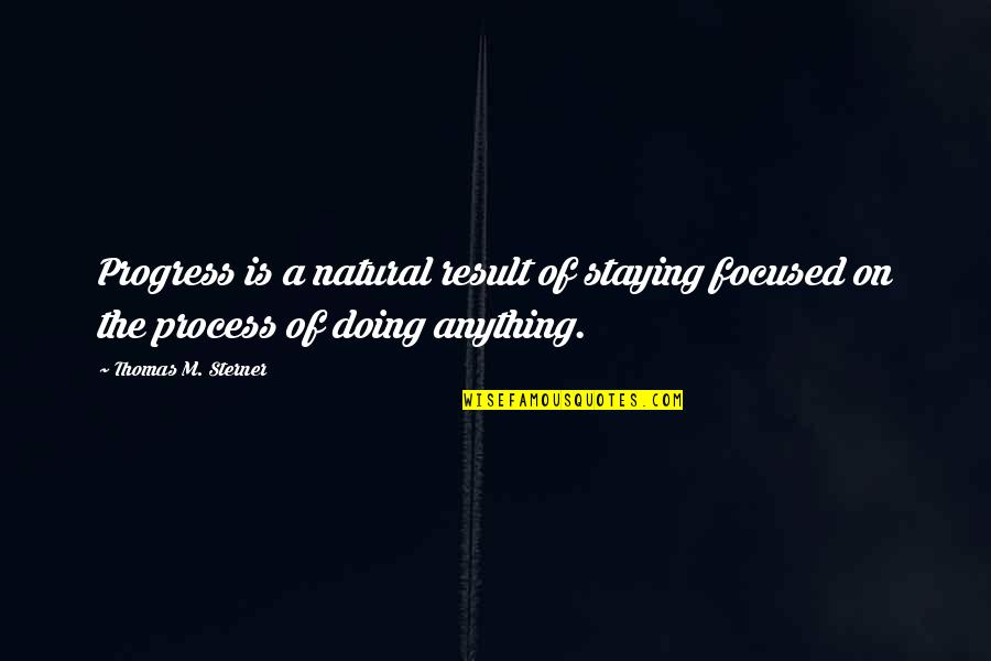 Never Try To Convince Quotes By Thomas M. Sterner: Progress is a natural result of staying focused