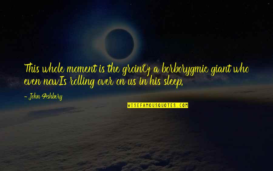 Never Underestimate A Person Quotes By John Ashbery: This whole moment is the groinOf a borborygmic