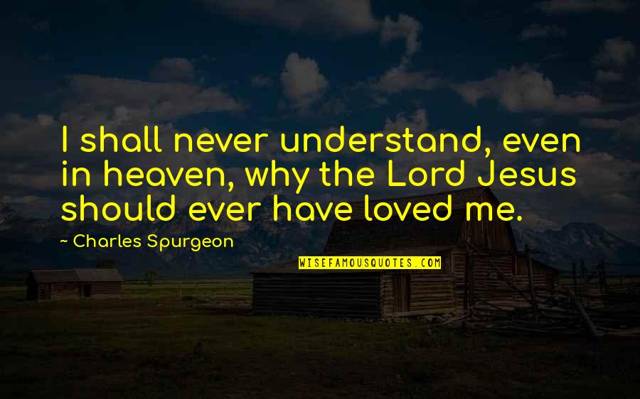 Never Understand Why Quotes By Charles Spurgeon: I shall never understand, even in heaven, why