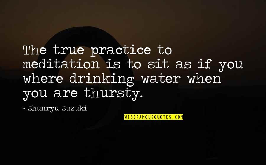 Never Waste Your Time To Explain Quotes By Shunryu Suzuki: The true practice to meditation is to sit Never Waste Your Time To Explain Quotes By Shunryu Suzuki: The true practice to meditation is to sit