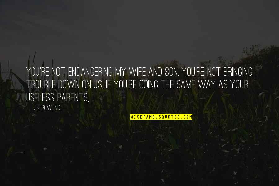 Nevery Give Up Quotes By J.K. Rowling: You're not endangering my wife and son, you're