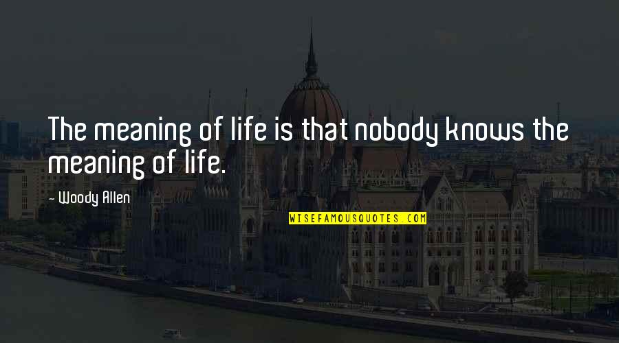 Nevola Irrigation Quotes By Woody Allen: The meaning of life is that nobody knows