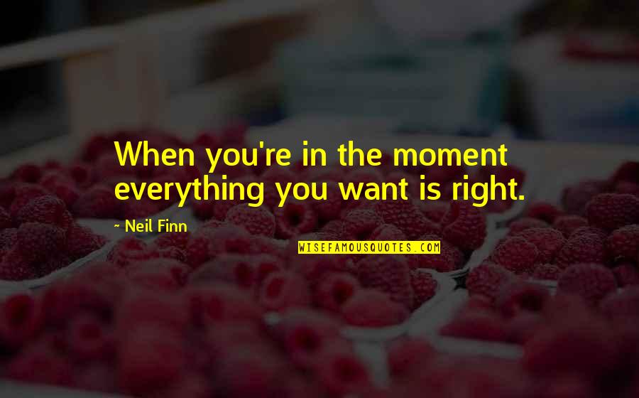 Nevolina Katerina Quotes By Neil Finn: When you're in the moment everything you want
