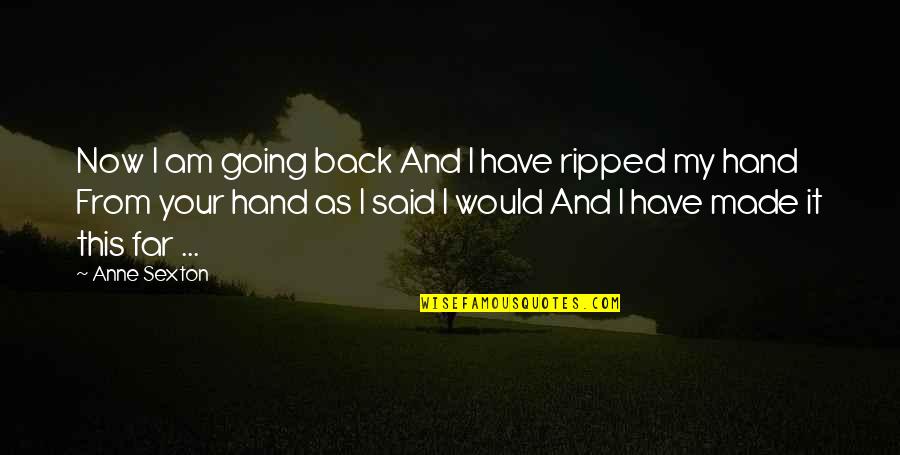 Nevus Comedonicus Quotes By Anne Sexton: Now I am going back And I have