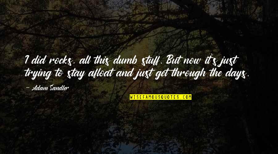 Nevynn Ch Quotes By Adam Sandler: I did rocks, all this dumb stuff. But Nevynn Ch Quotes By Adam Sandler: I did rocks, all this dumb stuff. But
