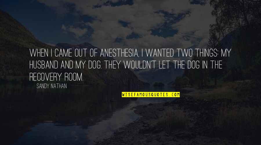 New Age Inspirational Quotes By Sandy Nathan: When I came out of anesthesia, I wanted