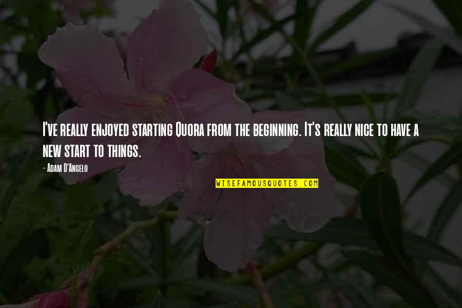 New Beginning Start Quotes By Adam D'Angelo: I've really enjoyed starting Quora from the beginning.