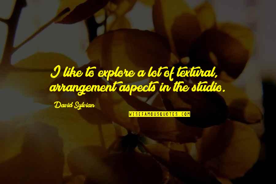 New Beginnings By Women Quotes By David Sylvian: I like to explore a lot of textural,