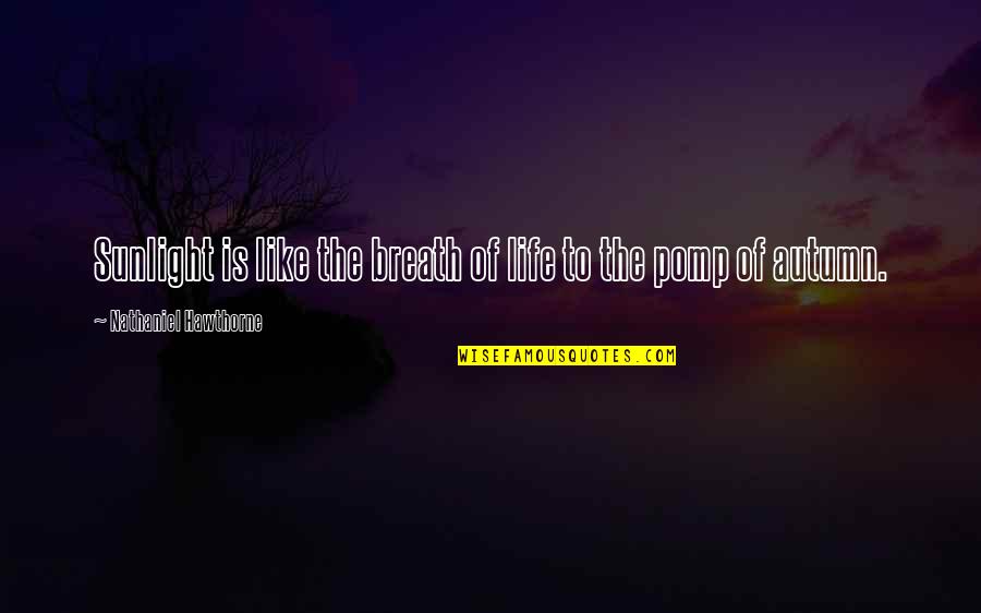 New Beginnings In Friendship Quotes By Nathaniel Hawthorne: Sunlight is like the breath of life to