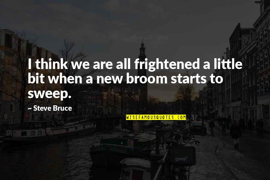New Broom Quotes By Steve Bruce: I think we are all frightened a little