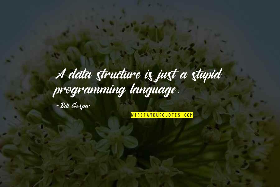 New Brunswick Quotes By Bill Gosper: A data structure is just a stupid programming