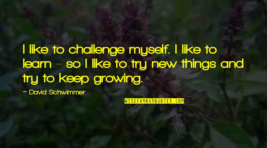 New Challenge Quotes By David Schwimmer: I like to challenge myself. I like to