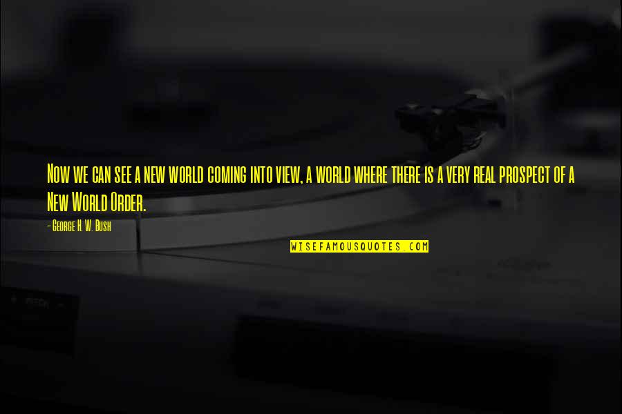 New Coming Quotes By George H. W. Bush: Now we can see a new world coming