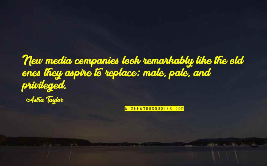 New Companies Quotes By Astra Taylor: New media companies look remarkably like the old