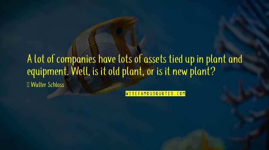 New Companies Quotes By Walter Schloss: A lot of companies have lots of assets