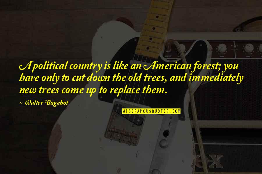 New Cut Quotes By Walter Bagehot: A political country is like an American forest; New Cut Quotes By Walter Bagehot: A political country is like an American forest;