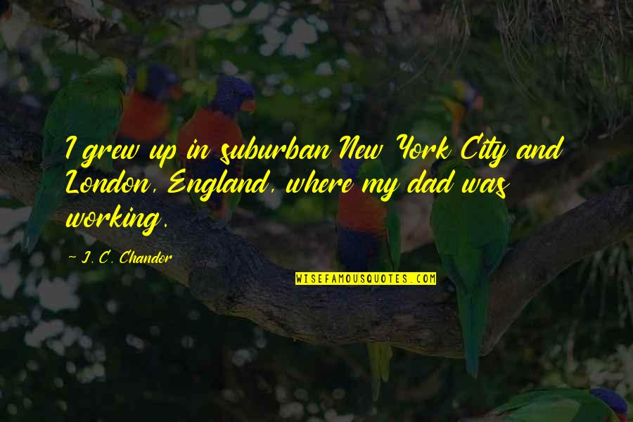 New Dad To Be Quotes By J. C. Chandor: I grew up in suburban New York City