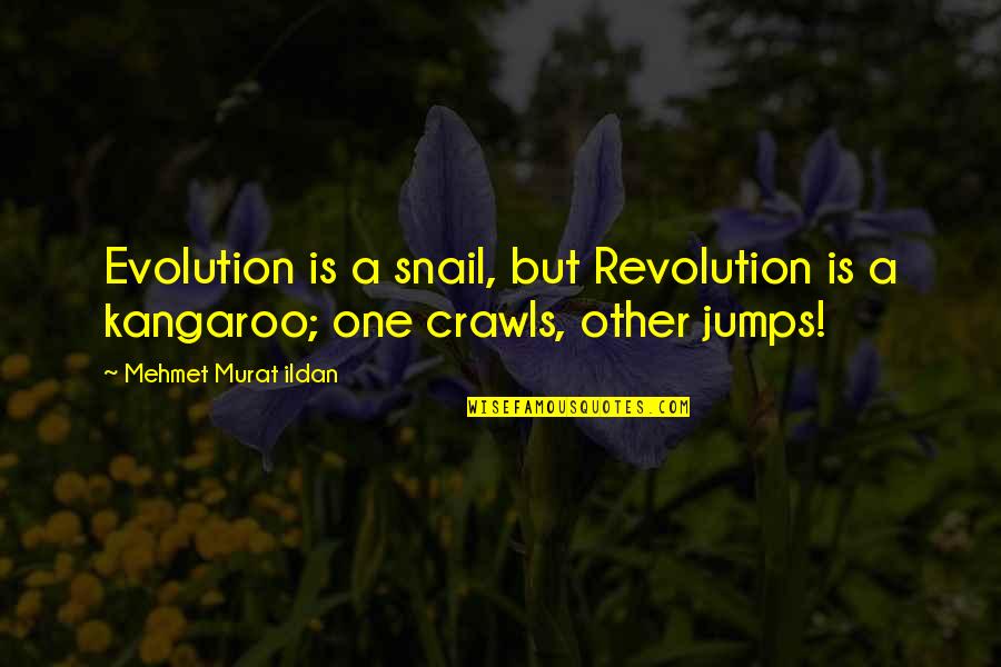 New Daily Wishes Quotes By Mehmet Murat Ildan: Evolution is a snail, but Revolution is a