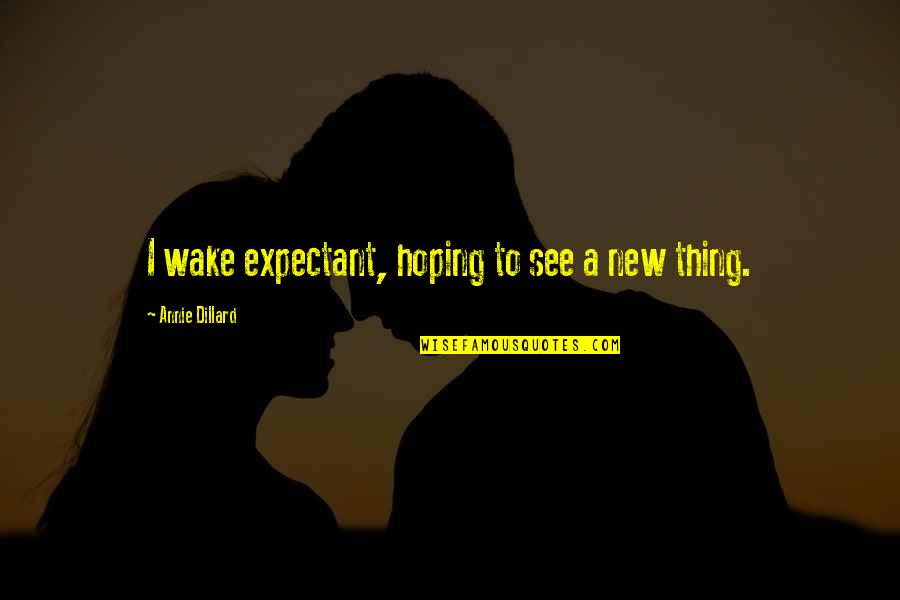 New Day New Beginning Quotes By Annie Dillard: I wake expectant, hoping to see a new