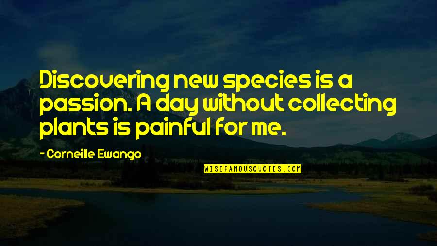 New Day New Me Quotes By Corneille Ewango: Discovering new species is a passion. A day