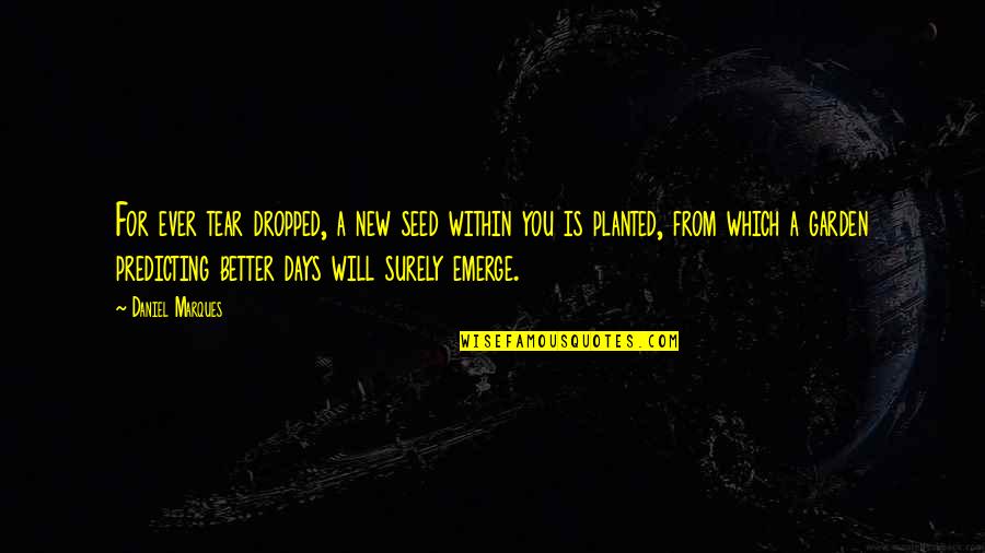 New Days Quotes By Daniel Marques: For ever tear dropped, a new seed within New Days Quotes By Daniel Marques: For ever tear dropped, a new seed within