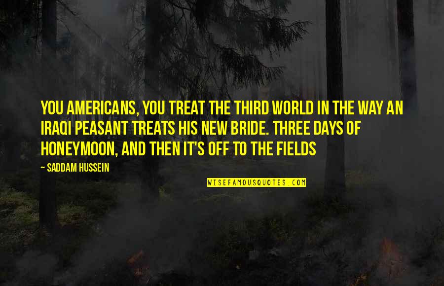 New Days Quotes By Saddam Hussein: You Americans, you treat the Third World in New Days Quotes By Saddam Hussein: You Americans, you treat the Third World in