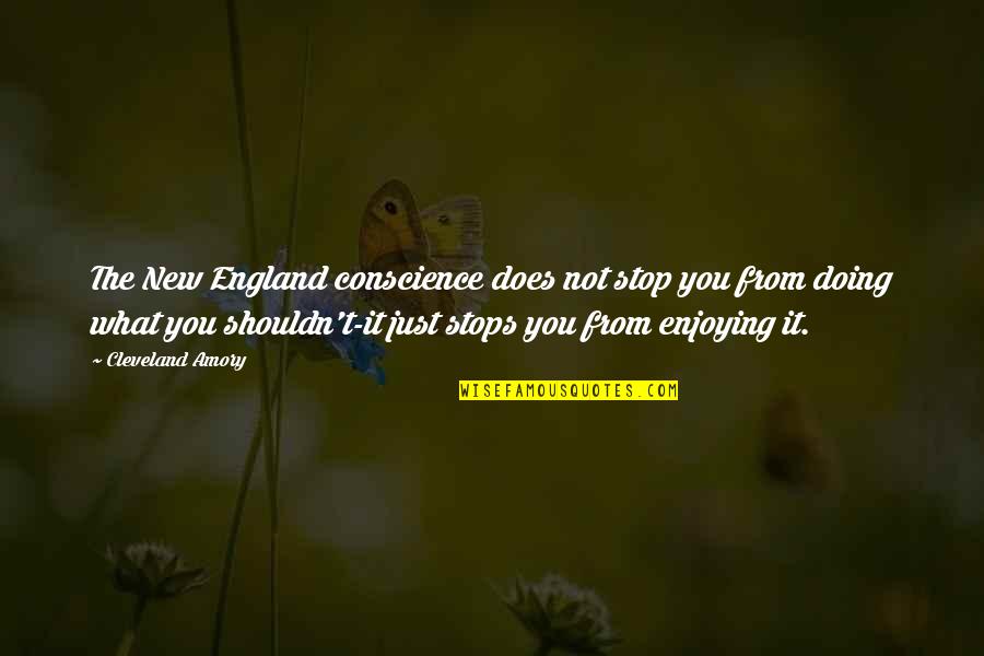 New England Quotes By Cleveland Amory: The New England conscience does not stop you