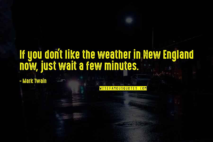 New England Quotes By Mark Twain: If you don't like the weather in New