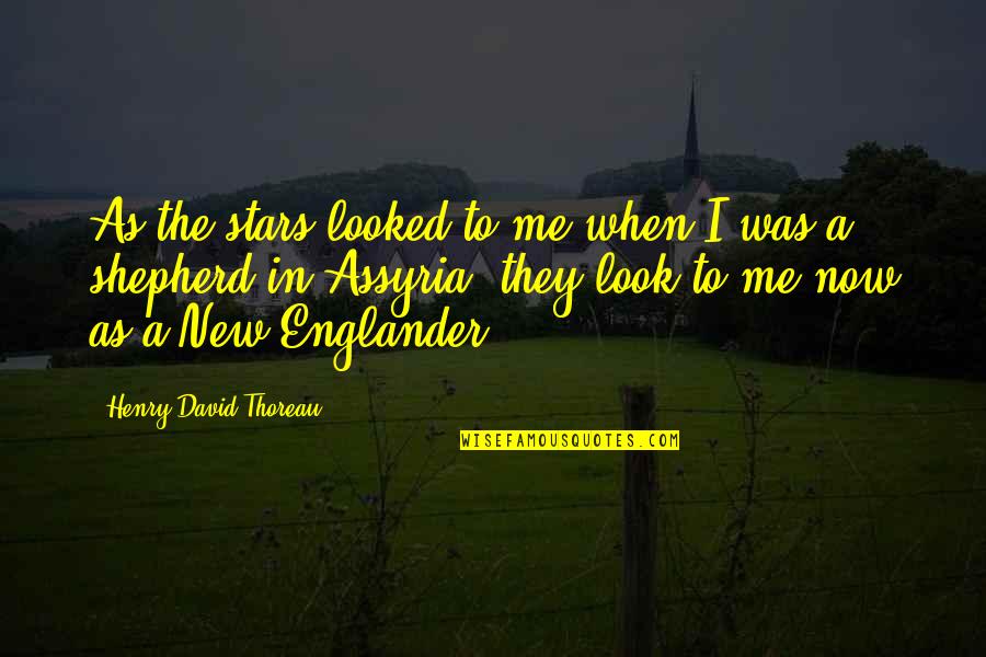 New Englander Quotes By Henry David Thoreau: As the stars looked to me when I