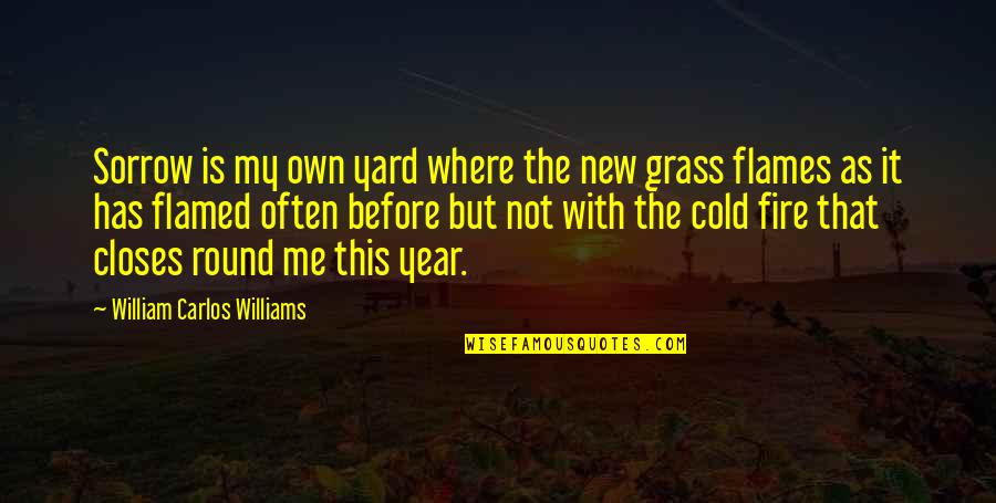 New Flames Quotes By William Carlos Williams: Sorrow is my own yard where the new