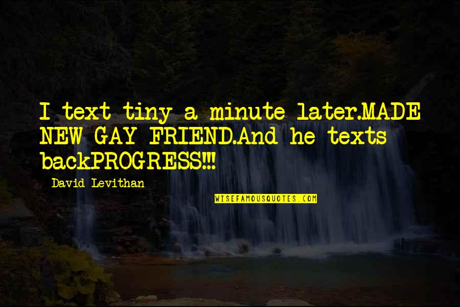 New Friend Quotes By David Levithan: I text tiny a minute later.MADE NEW GAY