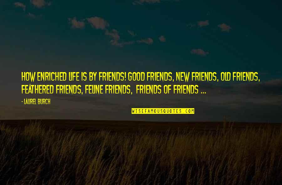 New Friend Quotes By Laurel Burch: How enriched life is by friends! Good friends,