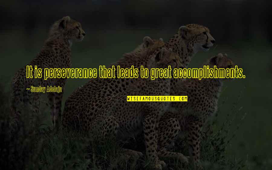 New Girl Background Check Quotes By Sunday Adelaja: It is perseverance that leads to great accomplishments.